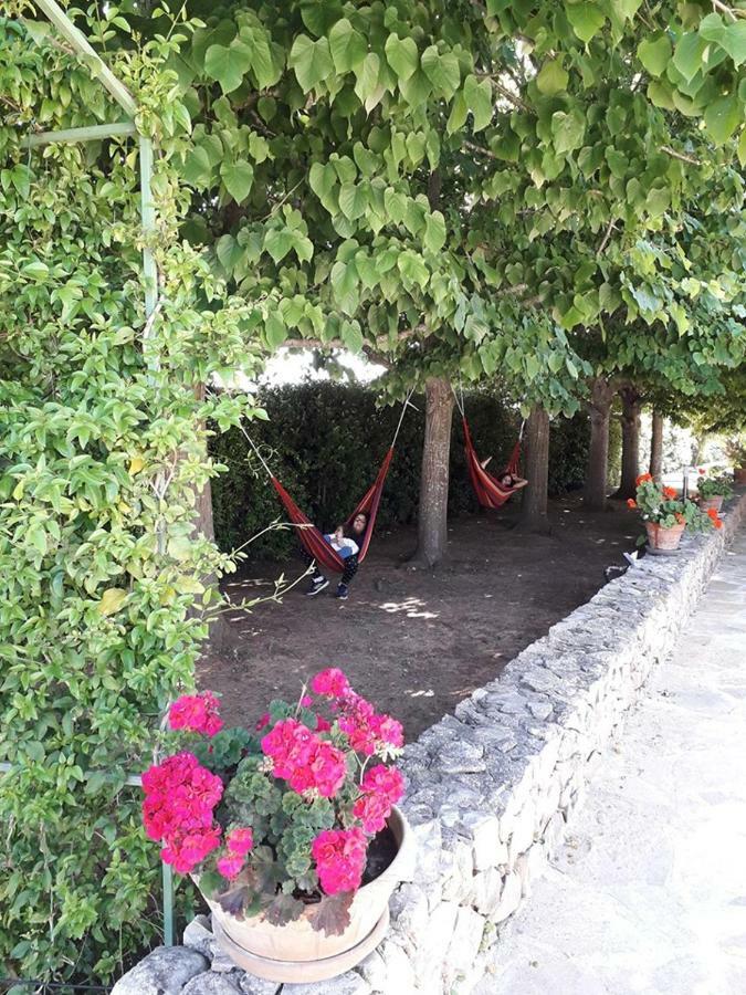 Villa Minerva Family Relais Alezio Zewnętrze zdjęcie
